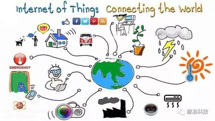 物聯(lián)網(wǎng)賦能生態(tài)保護(hù) 以科技之智，筑生態(tài)之暖